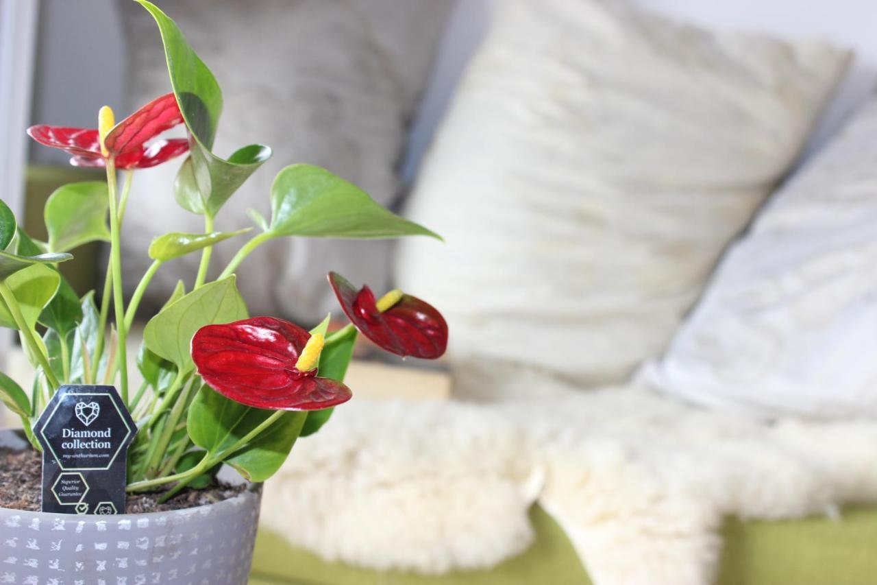 Apartment Ajda Udbina Екстериор снимка