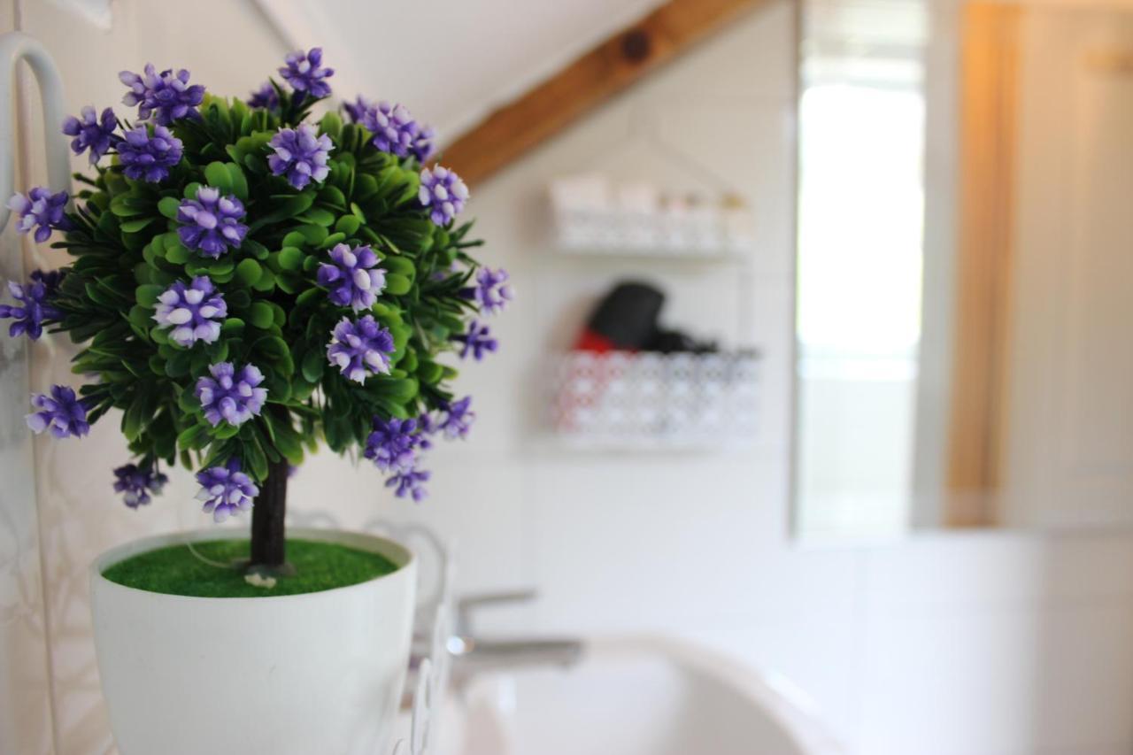 Apartment Ajda Udbina Екстериор снимка
